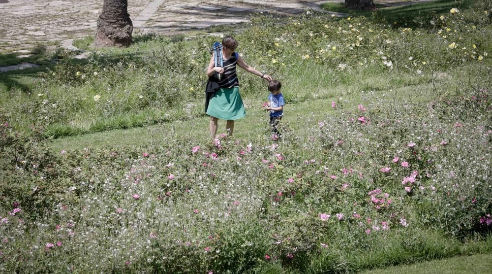 Coronavirus en Mallorca: Los niños disfrutan de sus primeras horas de libertad en las calles de Mallorca