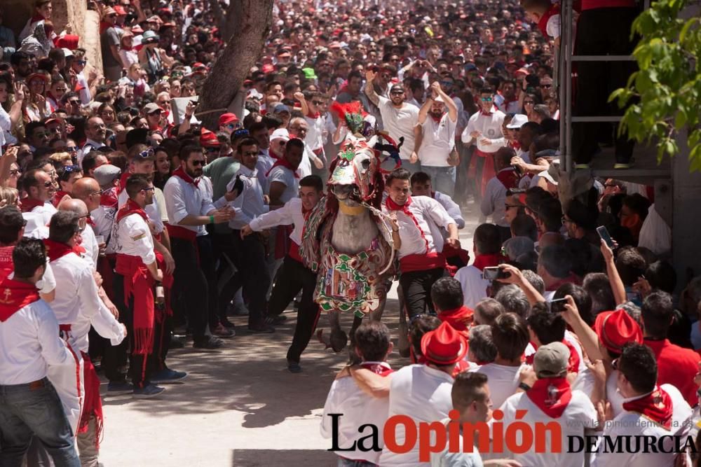 Carrera de los Caballos del Vino