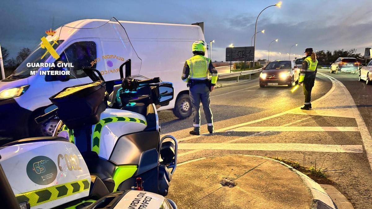 Multado con 200 euros en verano por llevar al perro en el coche: la Guardia Civil extrema la vigilancia