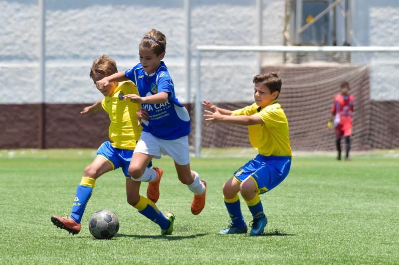 17-06-2018 SAN BARTOLOMÉ DE TIRAJANA. Finales de las Copas de Campeones prebenjamines y benjamines. Fotógrafo: ANDRES CRUZ  | 17/06/2018 | Fotógrafo: Andrés Cruz