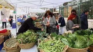 El mercado de verduras de Colón sale a la calle con su futuro en el aire