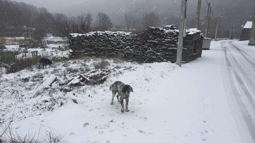 La nieve viste de blanco parte de la comarca