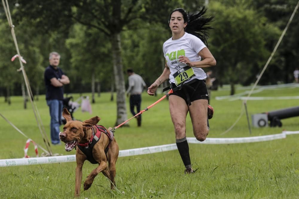 "Can We Run": Deporte, perros y solidaridad toman Gijón