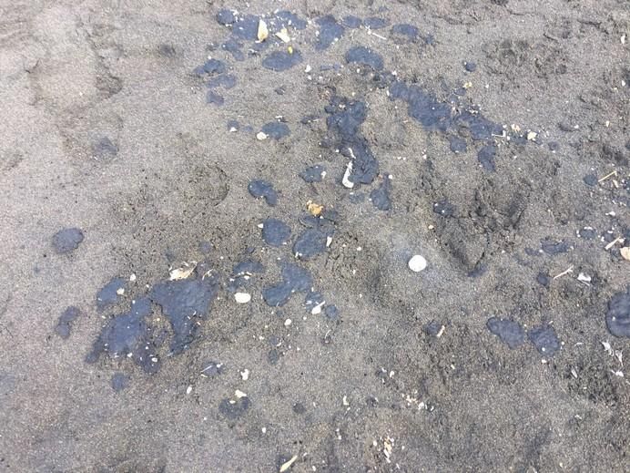 Recogida de restos de piche en la playa teldense de Palos