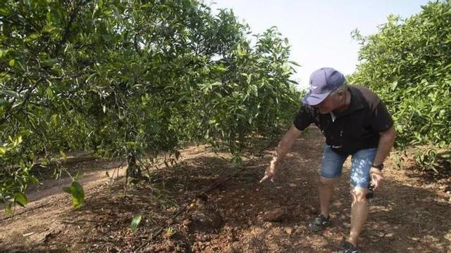 Un agricultor mustra sus daños en el campo.