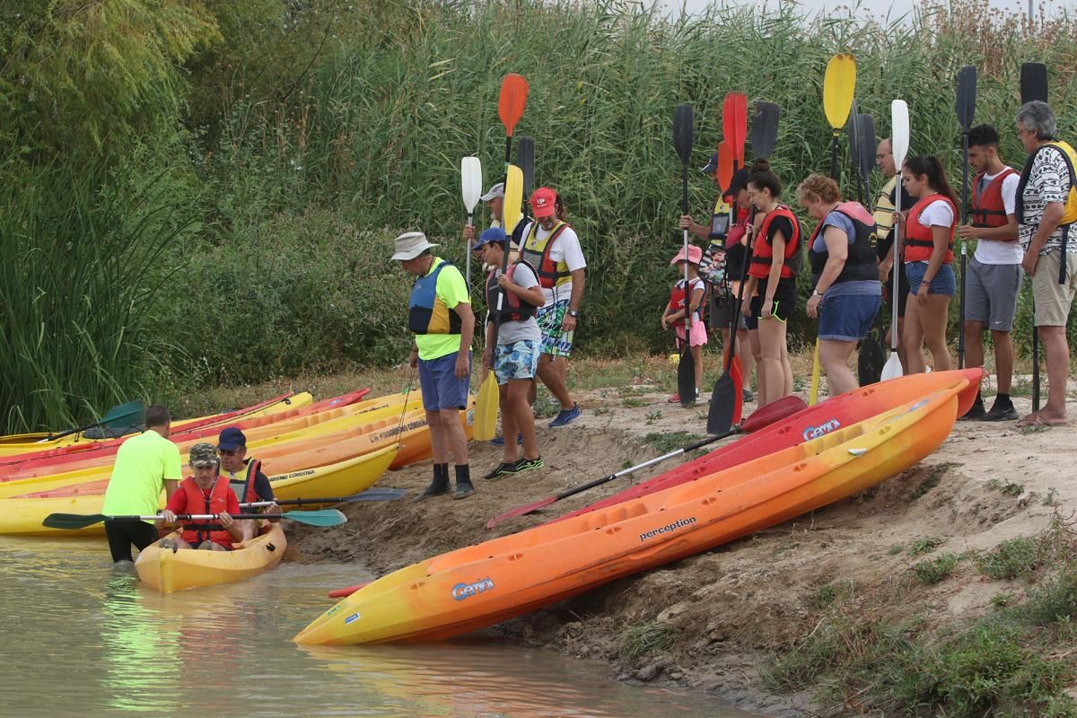 Ruta del Caimán por el río Guadalquivir