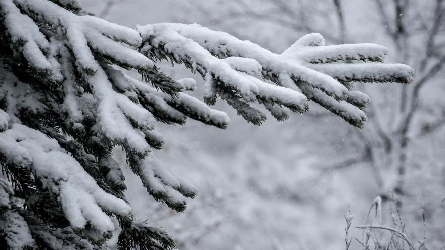 Nevada en A Canda, en Ourense. // Brais Lorenzo