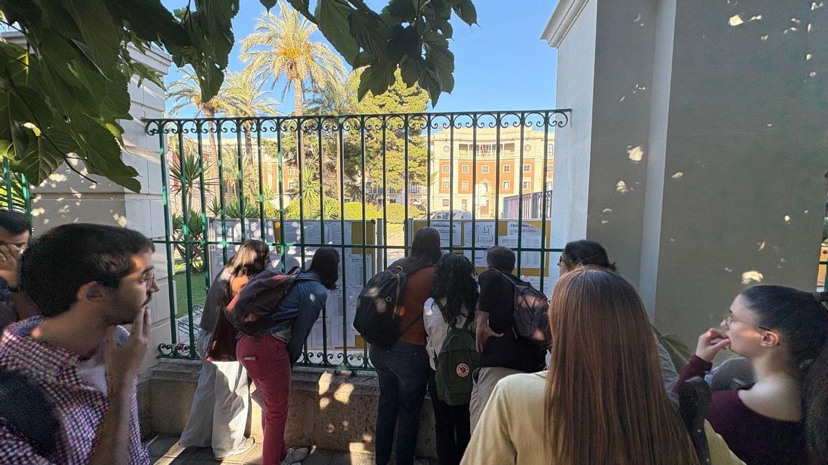 Opositores de Educación en València revisan si aparecen en los listados de admitidos para hacer las pruebas selectivas de profesores.