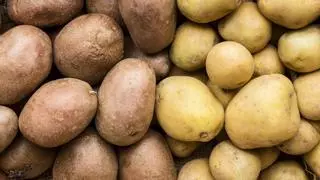 Adiós a las comidas aburridas: la versatilidad de las patatas