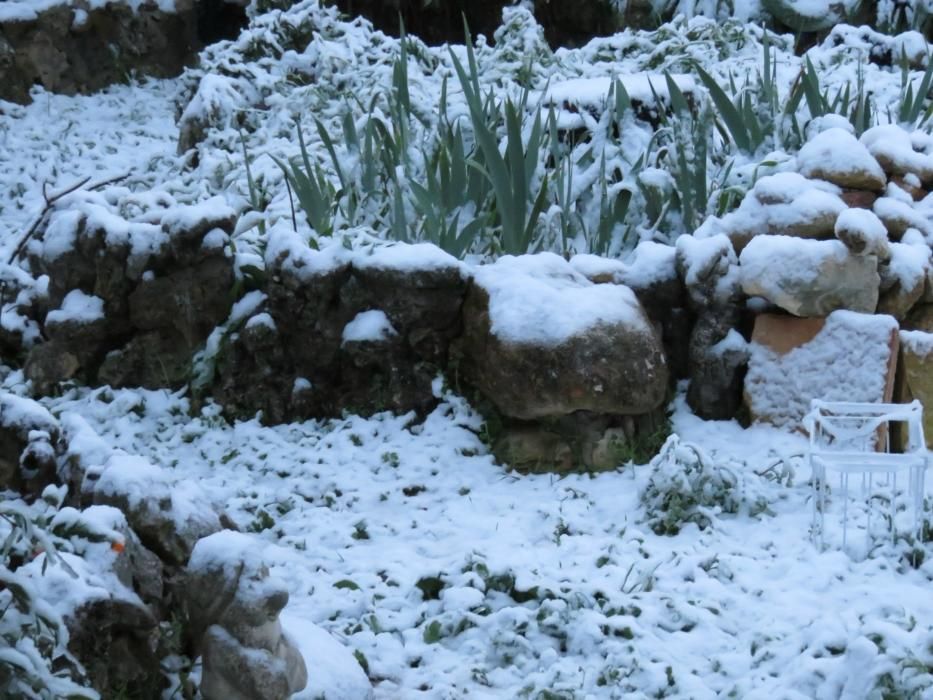 Nieve en Banyeres de Mariola a primera hora de esta mañana