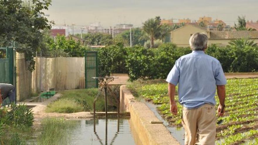 La Real Acequia de Moncada nace en el Turia a la altura de Paterna y desemboca en Puçol.