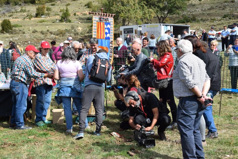 Concurs boletaire de Puigventós