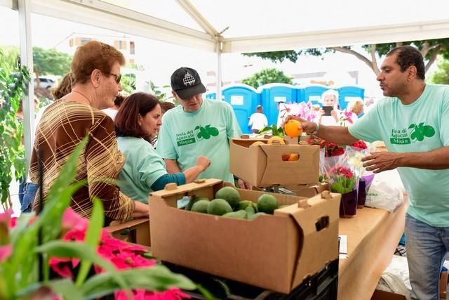 II Feria del Aguacate en Arguineguín