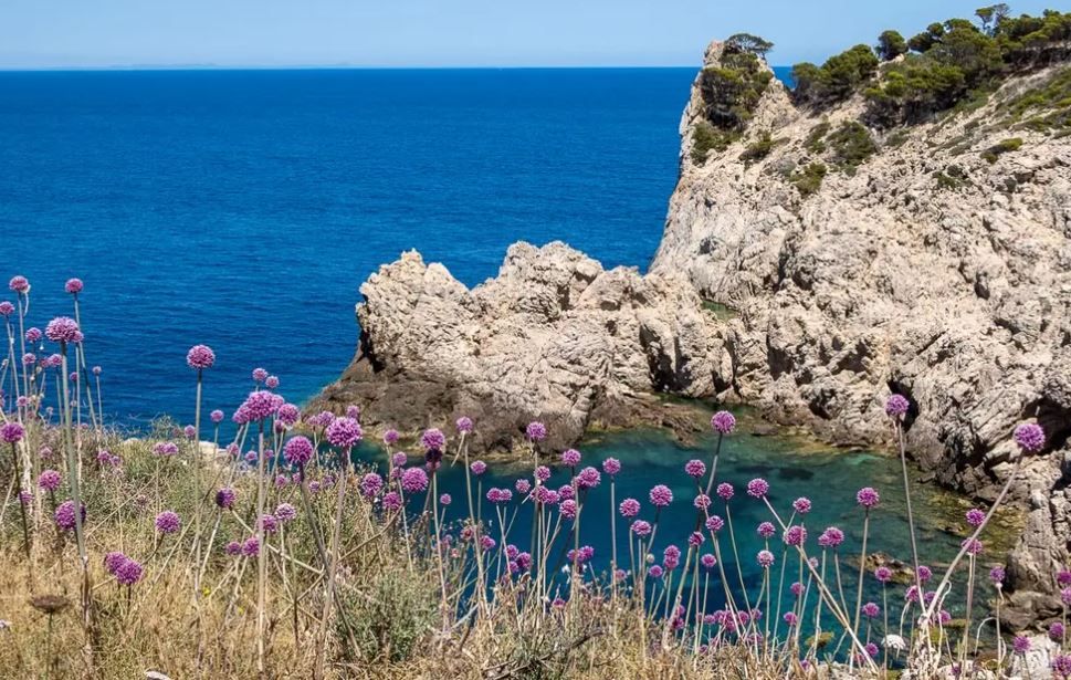 Mit Blick aufs Meer - So sieht es in der Villa aus, die "Goodbye Deutschland"-Auswanderer Steff Jerkel auf Mallorca verkaufen will