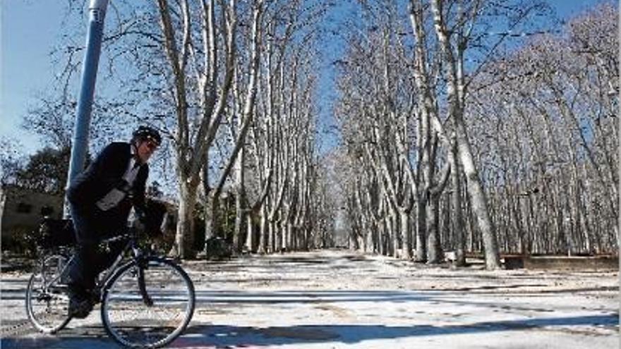 Un ciclista, passejant pel parc de la Devesa de Girona.