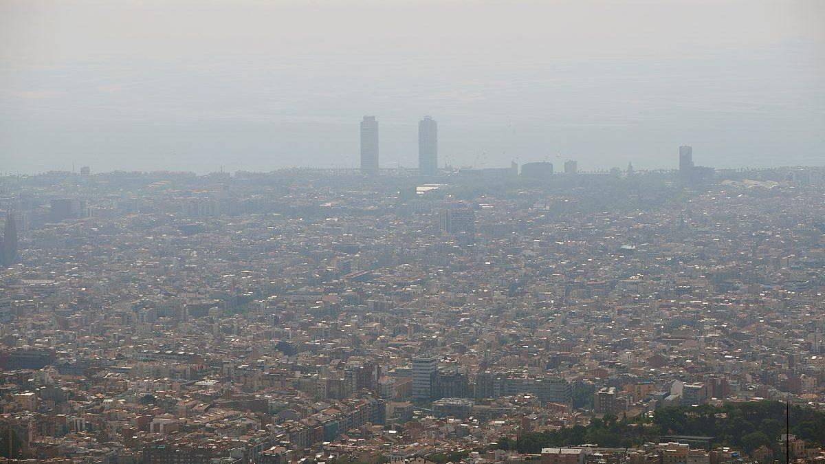 La contaminación del aire durante el embarazo se asocia con una maduración cerebral más lenta de los bebés