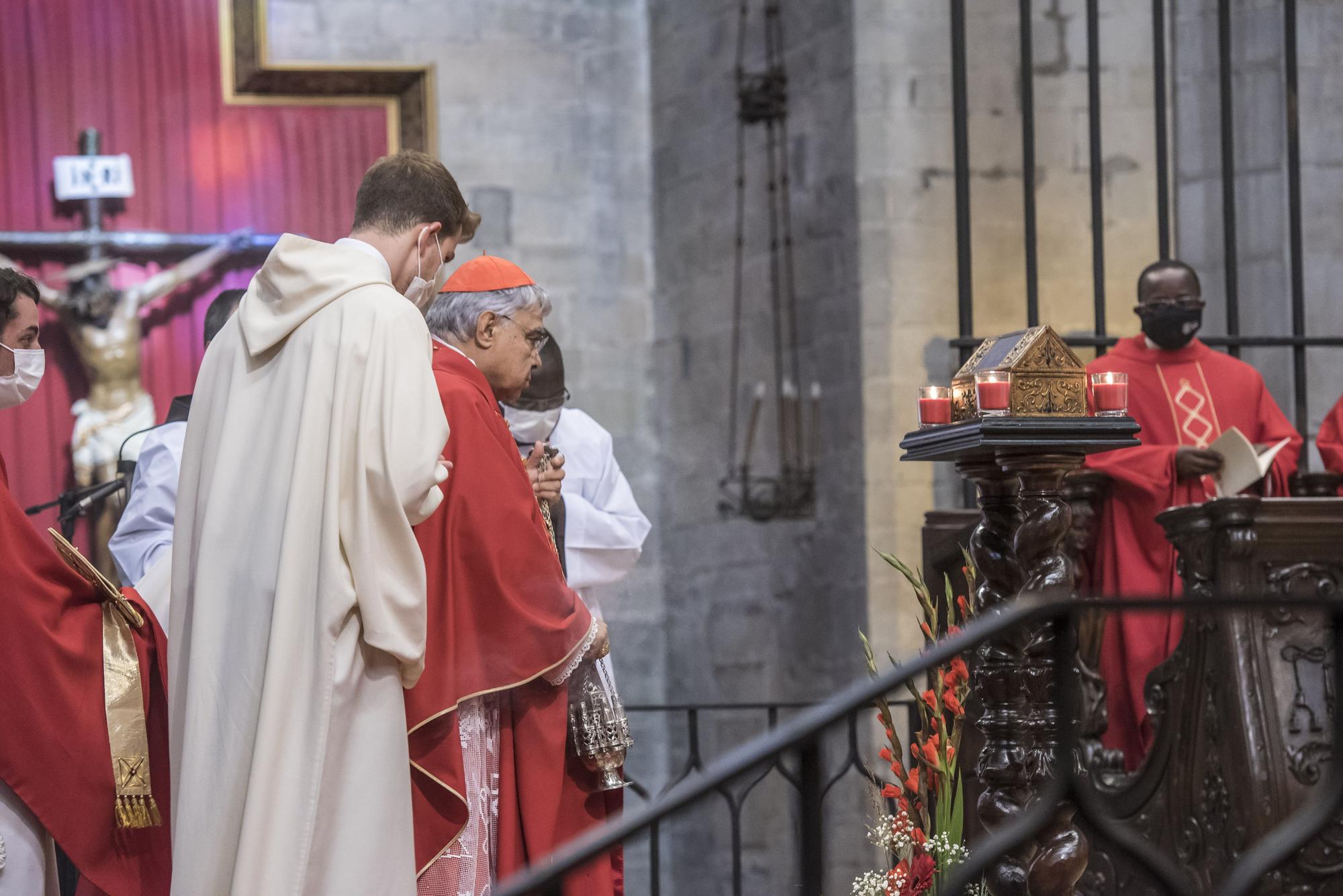 La Seu de Manresa resplendeix com una catedral en la primera beatificació que acull