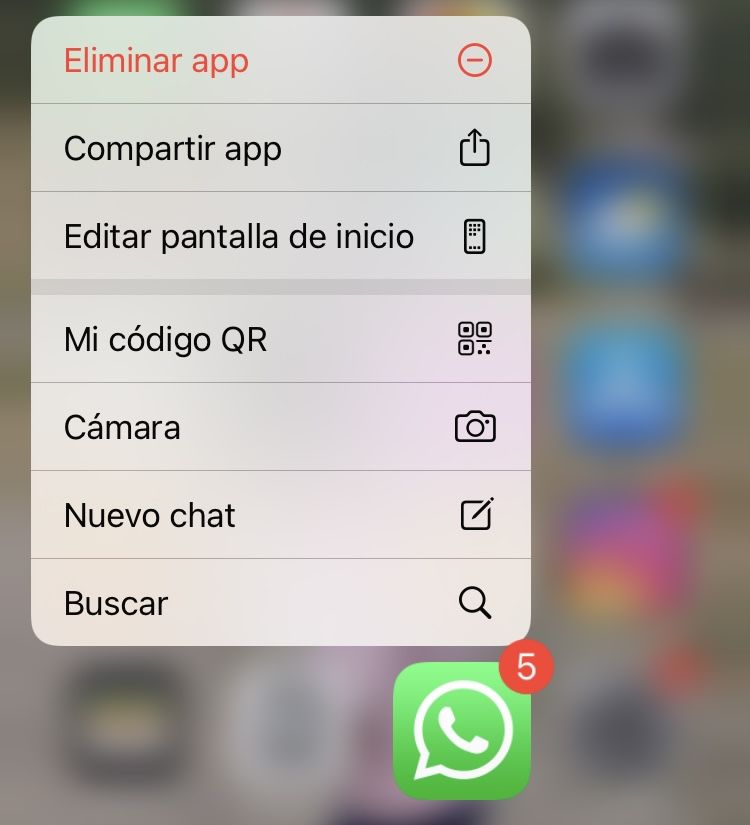 Captura de pantalla de los accesos que ofrece WhatsApp en Iphone