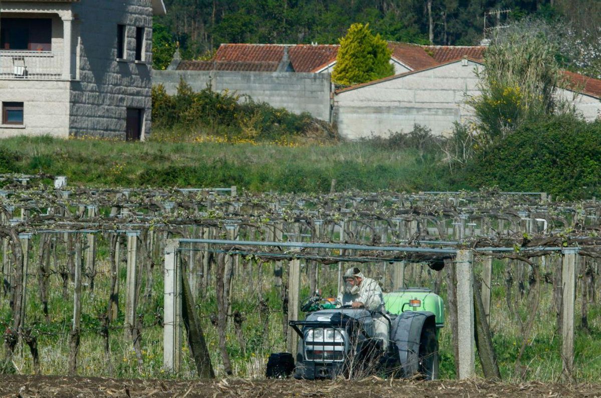 Los tractores desde los que se aplica el sulfato intensifican su presencia. |   // I. ABELLA