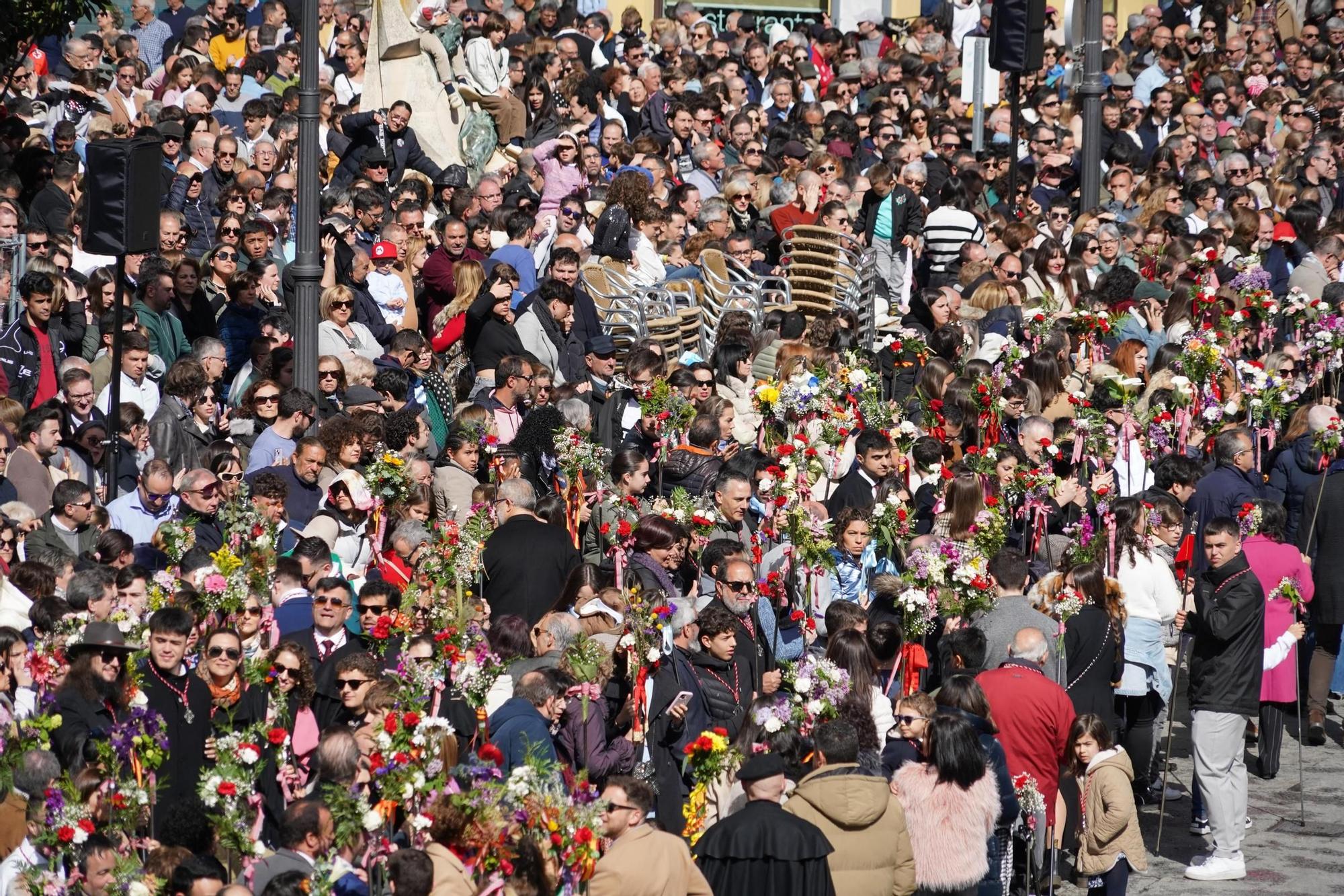 GALERÍA | Las mejores imágenes de la procesión de La Resurrección en Zamora