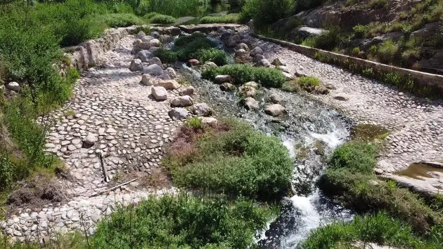 Confirman la eficacia de la rampa en Teresa para facilitar el desplazamiento de peces en el Palancia