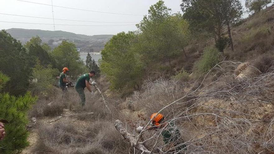 Trabajadores realizando labores en la ladera del Castillo.