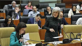 La Junta de Extremadura garantiza que la ley LGTBI no se derogará como pide Vox