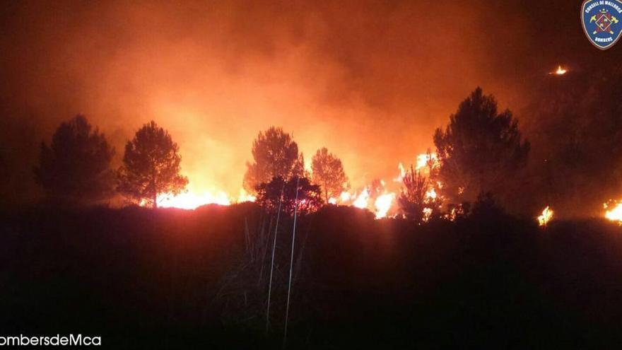 El incendio forestal de Pollença quema 17 hectáreas de pinar y carrizo