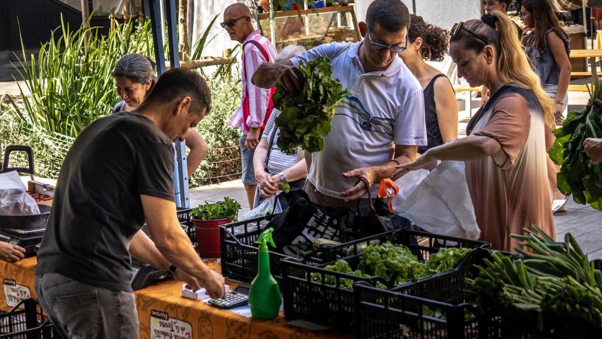 El Mercat de Pagès de Germanetes dels dissabtes a Consell de Cent amb Comte Borrell. | JORDI OTIX