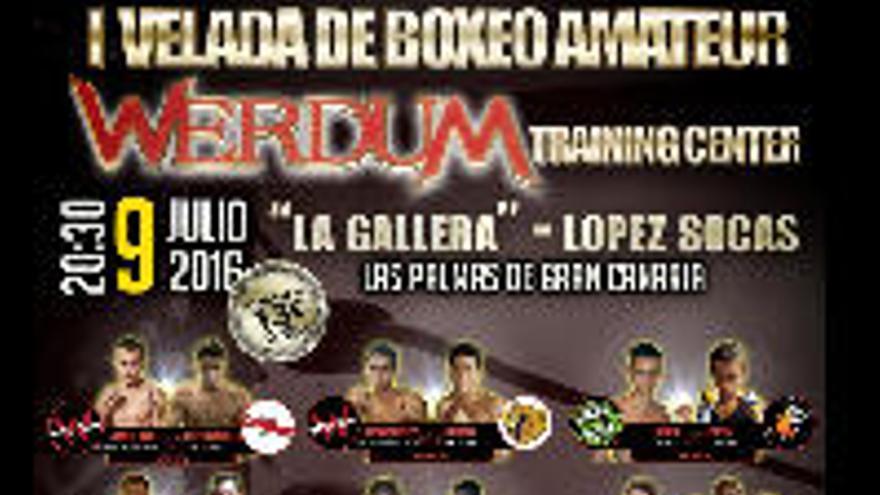 Werdum organiza una velada amateur