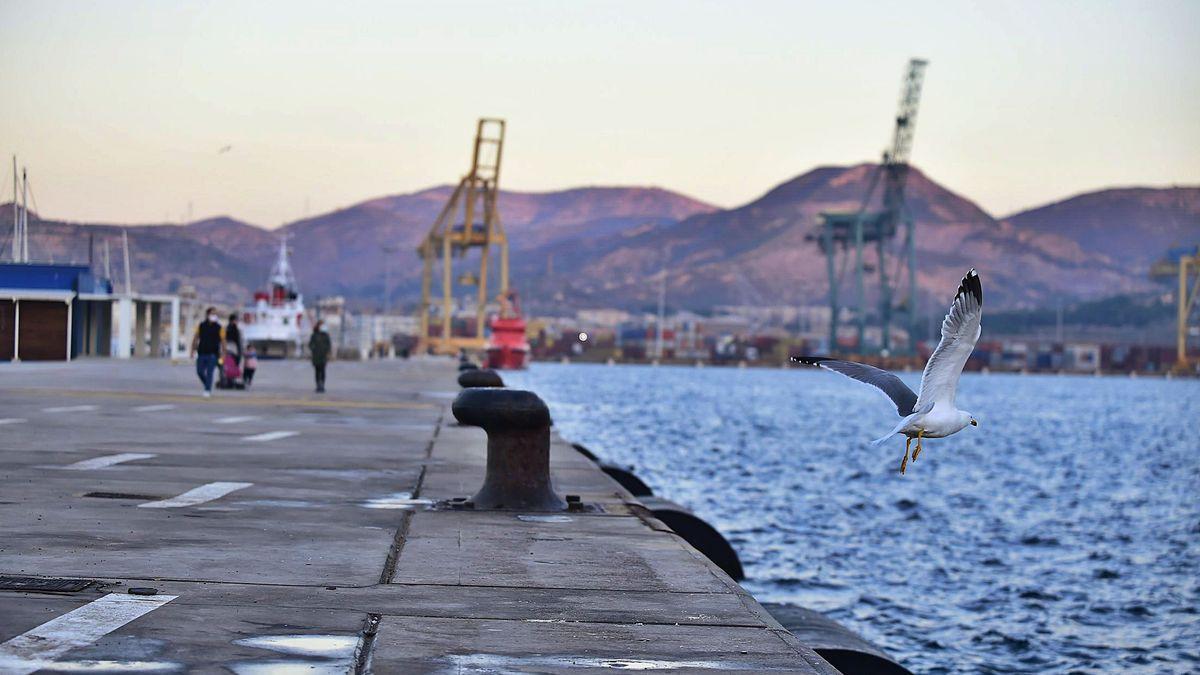 La terminal de cruceros vacía, a la espera de recibir pasajeros.