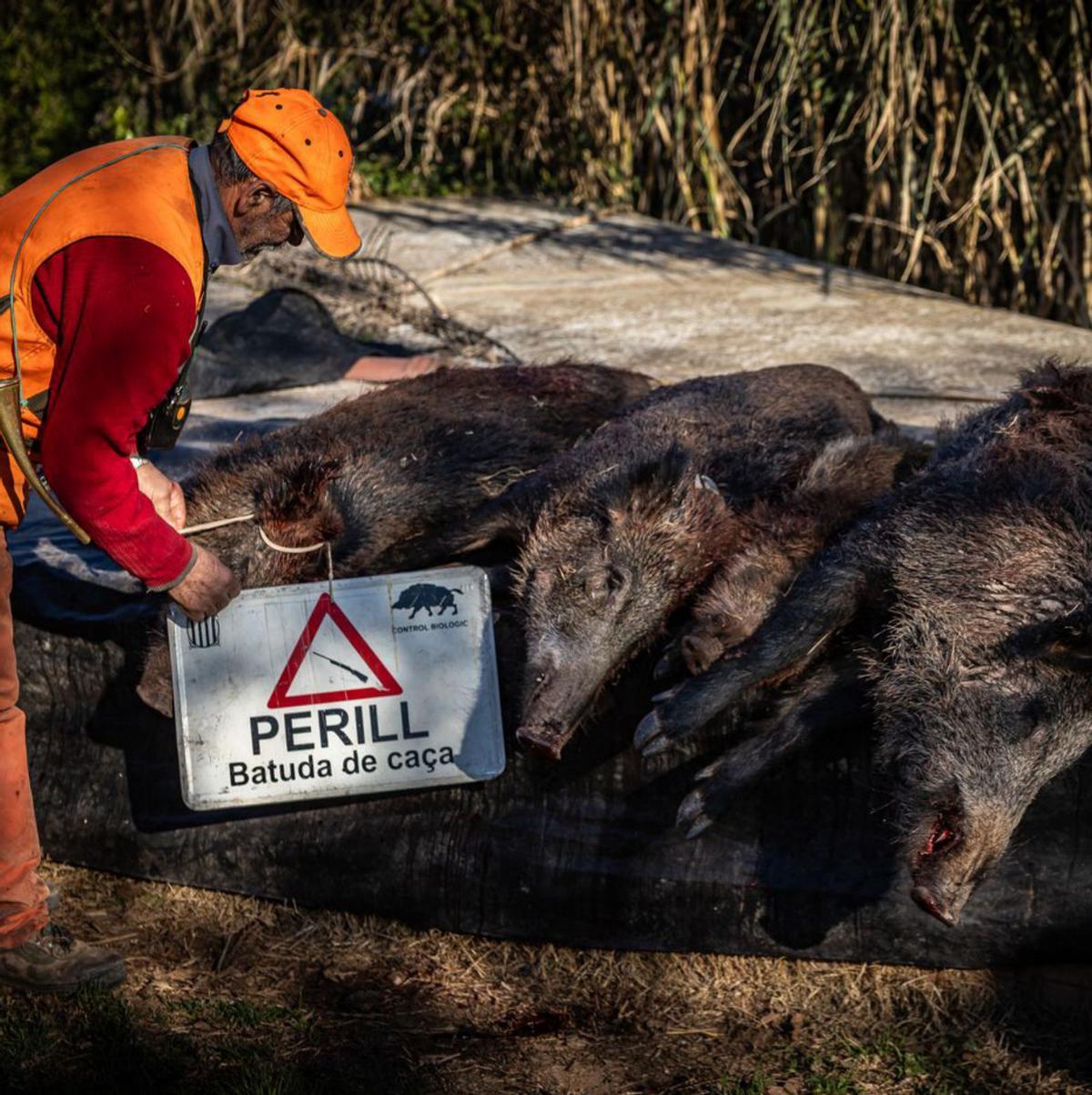Els ramaders opinen que s’està actuant "bé" i amb "celeritat"
