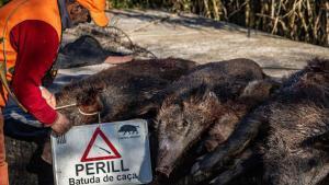 Els ramaders opinen que s’està actuant "bé" i amb "celeritat"