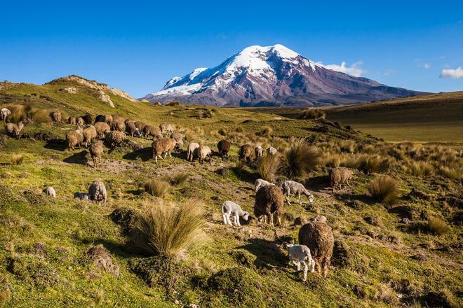 Nariz del Diablo, Ecuador