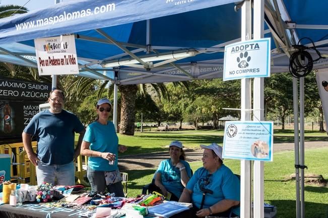 Feria de Mascotas de Maspalomas 2016