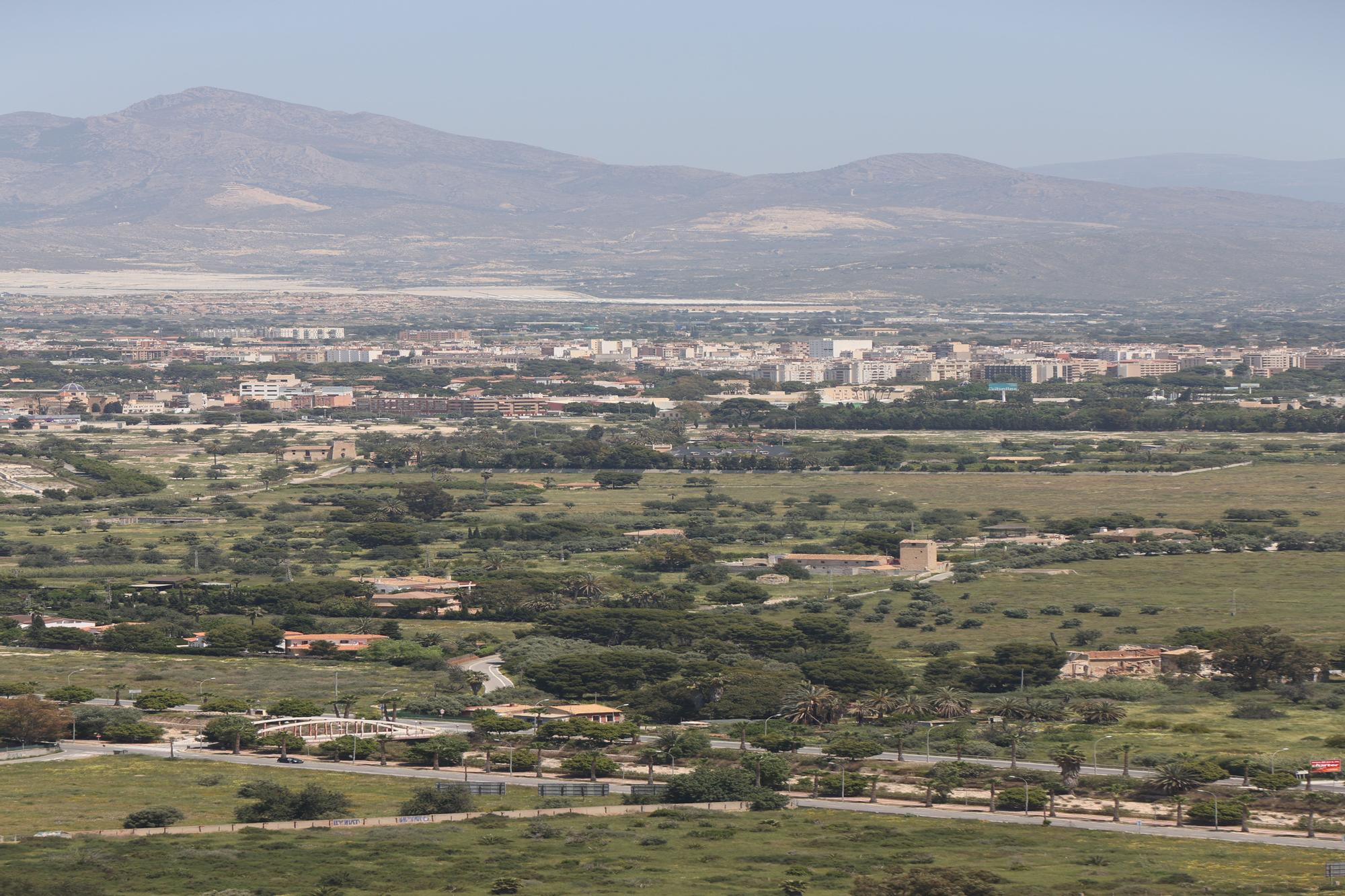 Vista de la huerta de Alicante