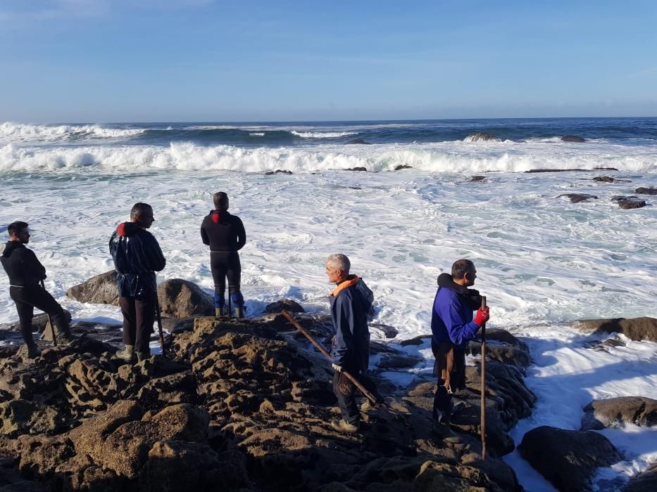 Los percebeiros, esta mañana en A Costa da Vela