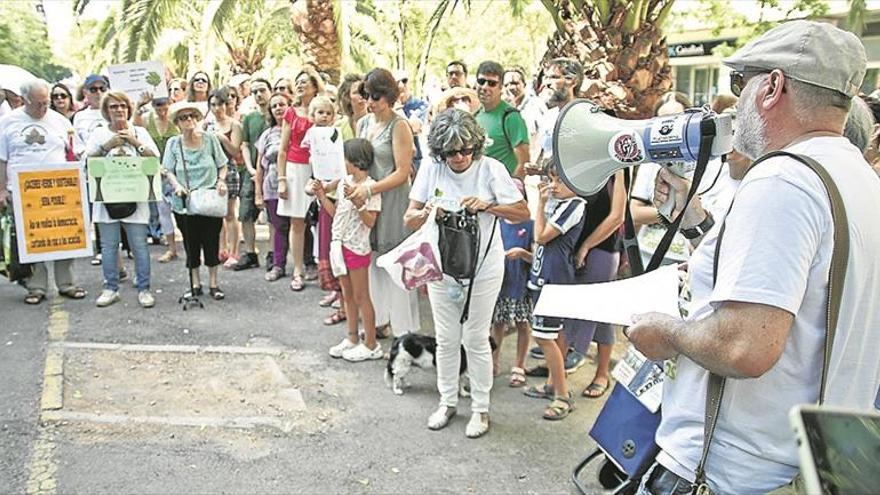 Unidos para proteger las acacias de Cáceres