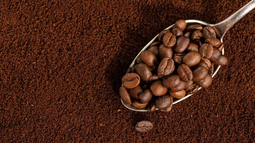 Com el cafè pot alimentar les plantes de casa teva