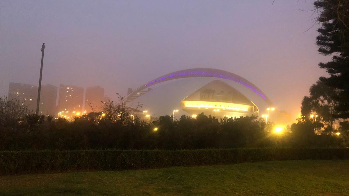 Niebla en València, en la Ciudad de las Artes y las Ciencias, en la mañana de hoy viernes.