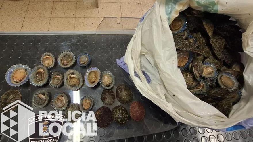 Sorprenden a un hombre cogiendo lapas en la escollera de la playa de Las Teresitas