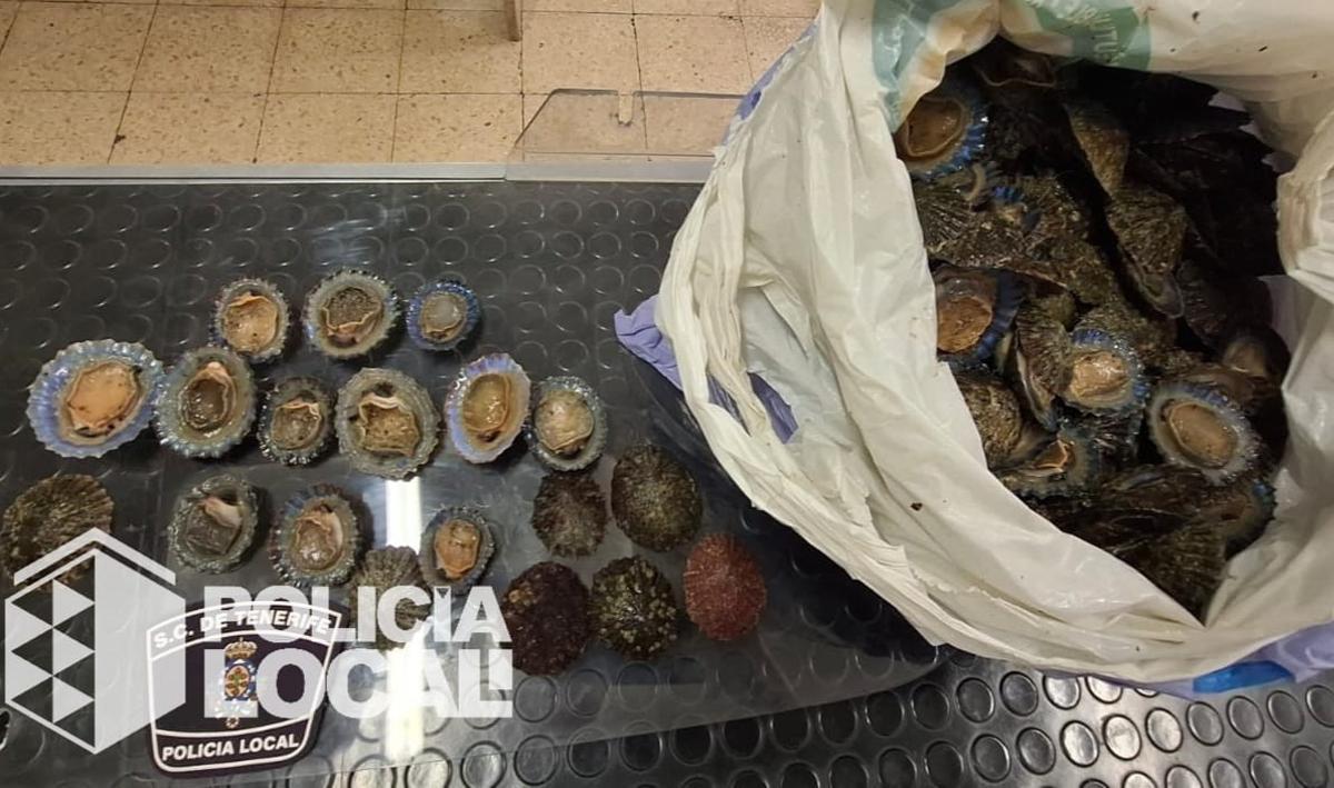 Una bolsa de lapas interceptada en la playa de Las Teresitas