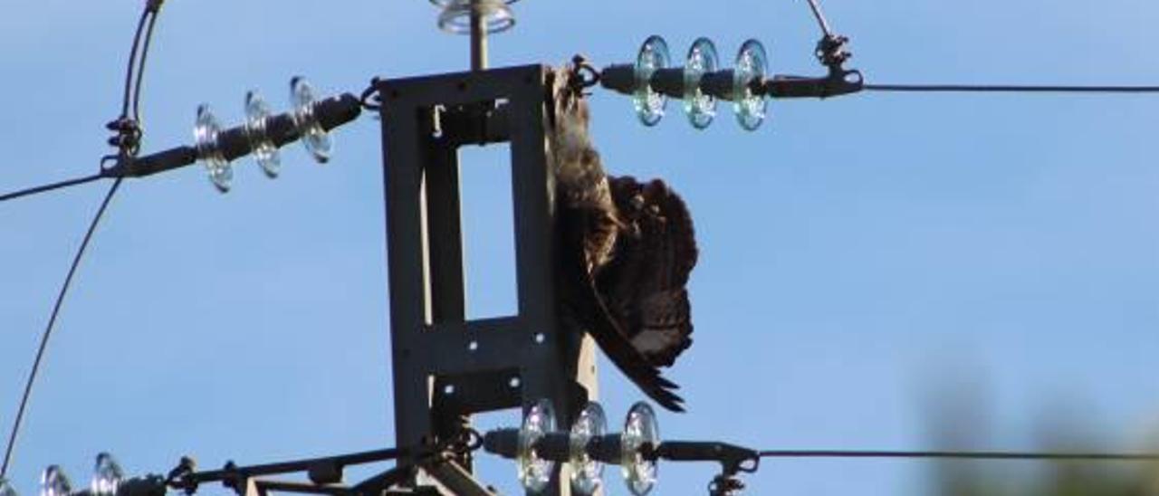 La rapaz que se quedó enganchada en los cables en Ròtova.