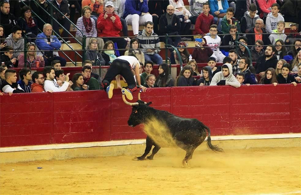 Mejores momentos de las Vaquillas