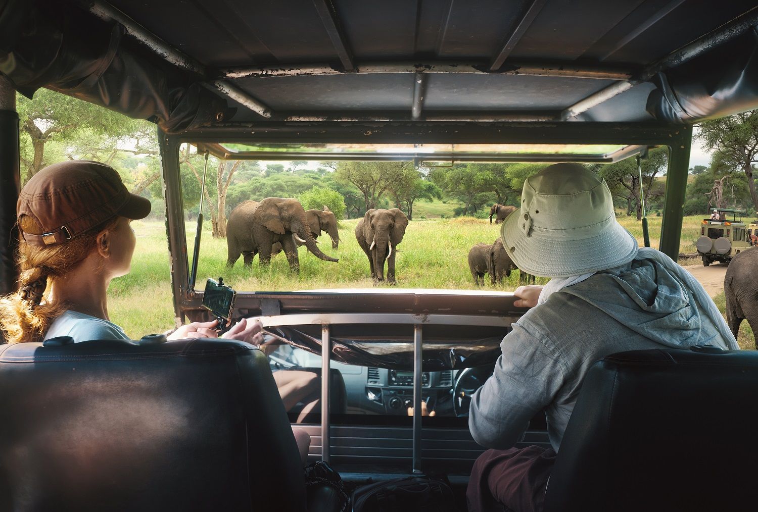 Safari por África.