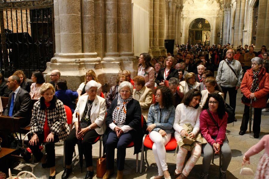 Así ha sido el Corpus 2016 en Zamora