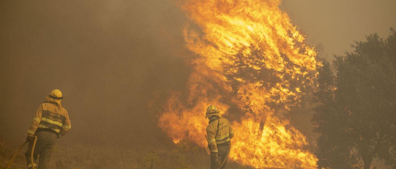 Tareas de extinción del incendio de la Sierra de la Culebra, en su extensión a Olleros de Tera.
