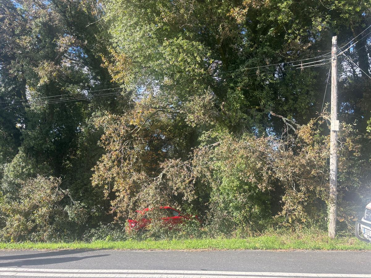 La salida de vía se saldó con una persona herida con dolor en el pecho.