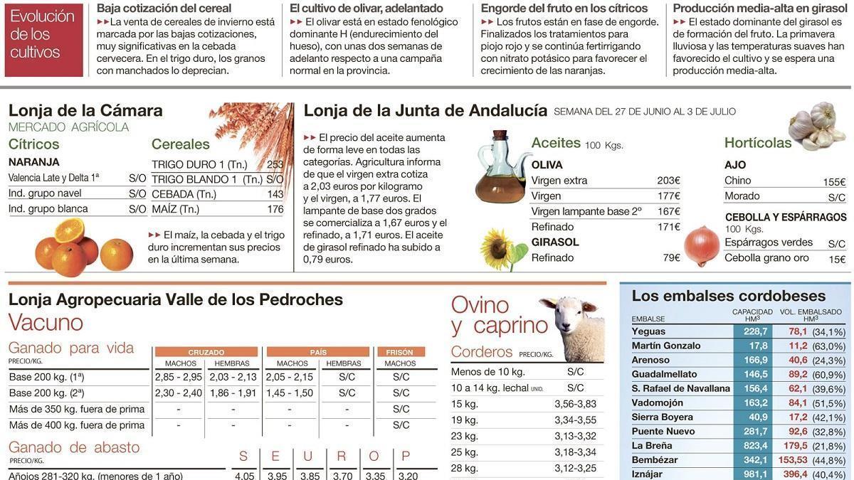 Evolución de los cultivos