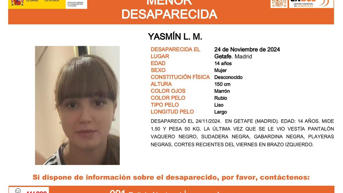 Cartel del Centro Nacional de Desaparecidos con los datos de la joven desaparecida.